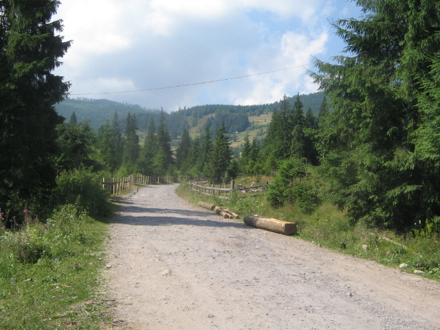 IMG_4588 - Vacanța 2011 1