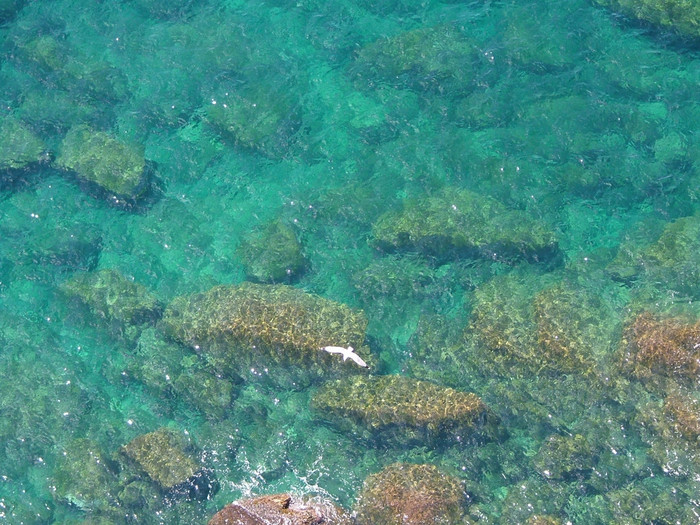 mare cristalinà - TOSCANA VIAREGGIO LIGURIA CINQUE TERRE