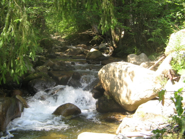 IMG_4596 - Vacanța 2011 1