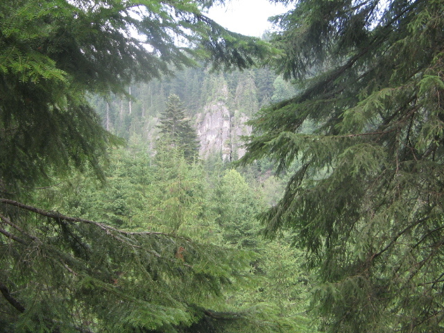 IMG_4600 - Vacanța 2011 1