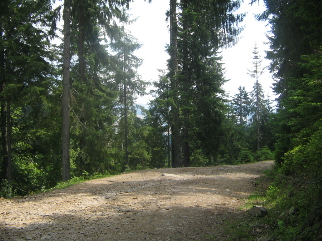 IMG_4601; Spre Cucurbăta Mare
