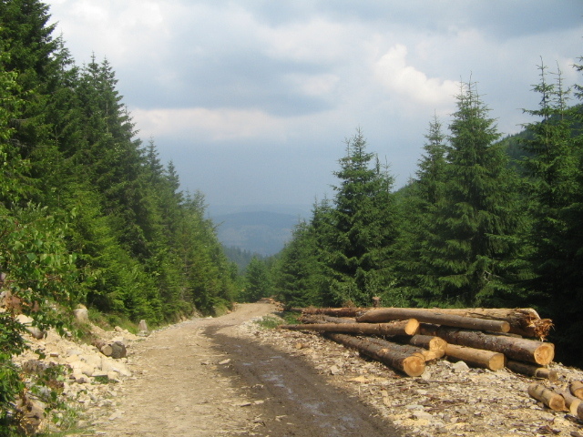 IMG_4611; Spre Cucurbăta Mare
