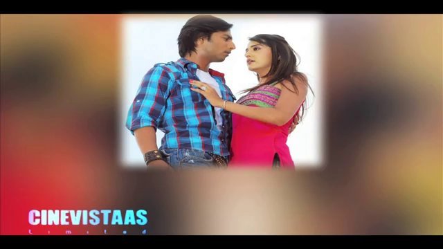 17 - DILL MILL GAYYE CINEVISTAAS PORTFOLIO