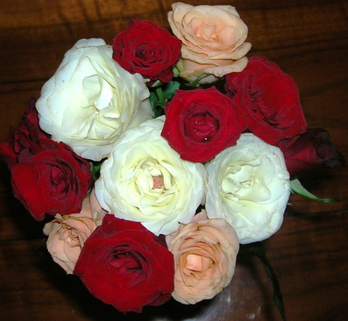 DSCN6417 - 015_cu trandafiri