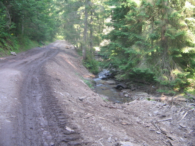 IMG_4624; Spre cascada Vârciorog
