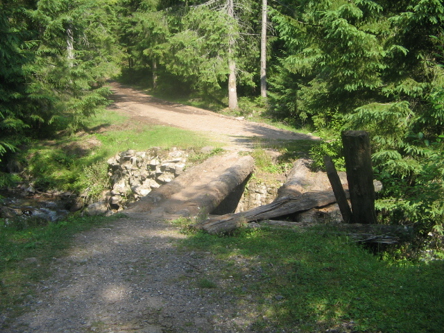 IMG_4625; Spre cascada Vârciorog
