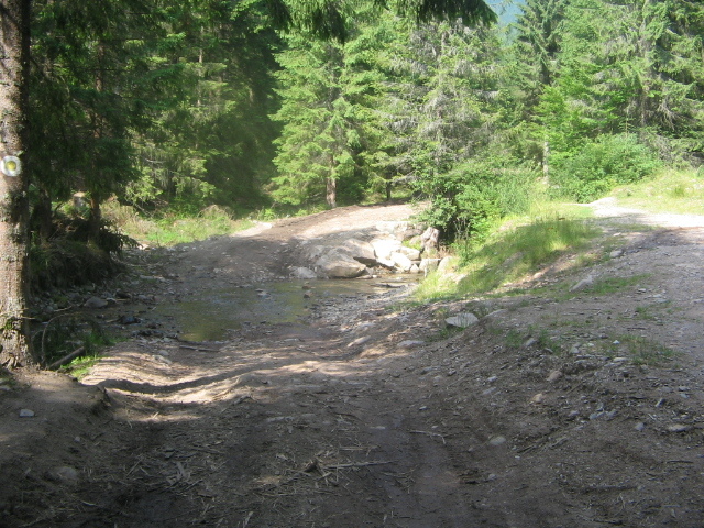 IMG_4630; Spre cascada Vârciorog
