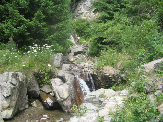 IMG_4644 - Vacanța 2011 1