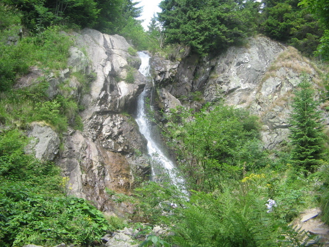 IMG_4647 - Vacanța 2011 1