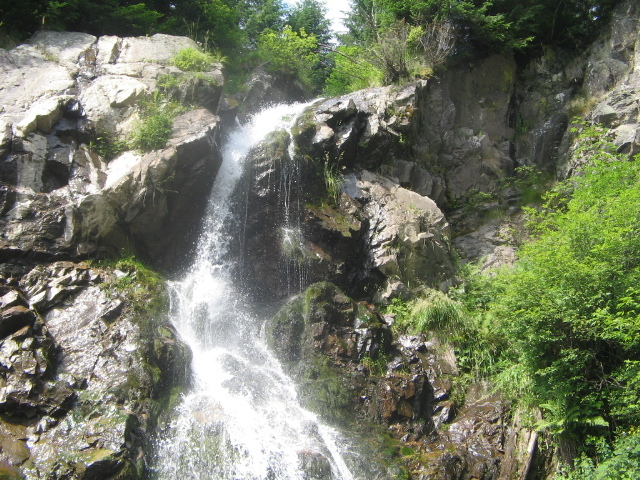 IMG_4652 - Vacanța 2011 1
