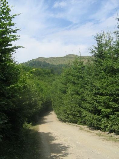 IMG_4716; Muntele Găina
