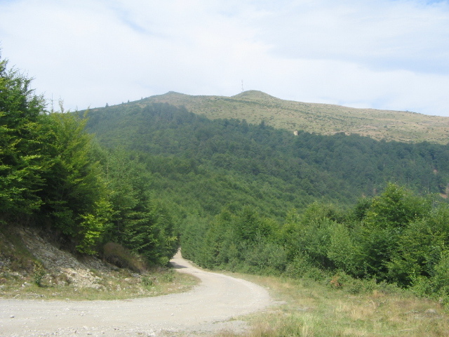 IMG_4720; Muntele Găina
