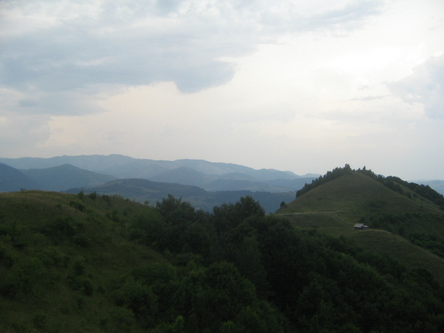 IMG_4725; Zona Masivului Bedeleu
