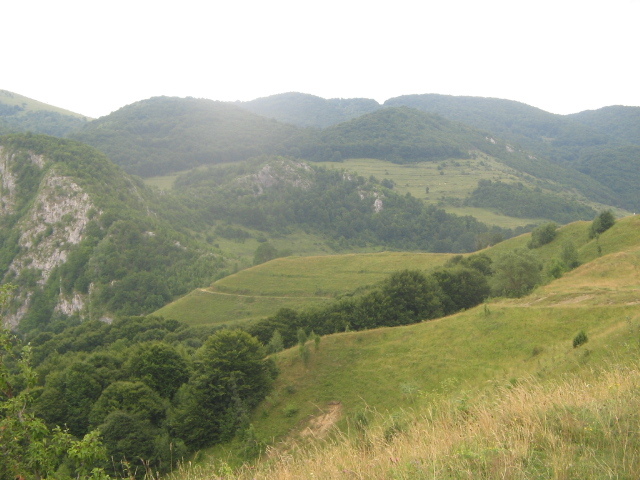 IMG_4730 - Vacanța 2011 1