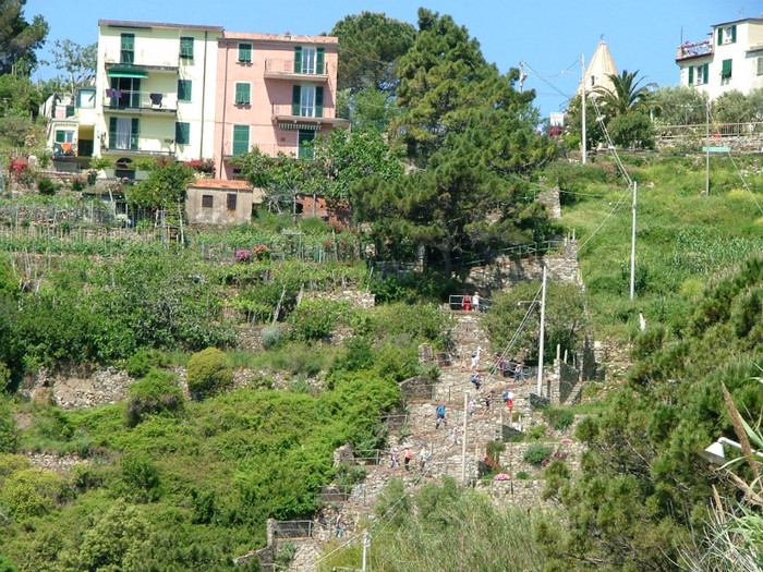 scàri,scàri si iarà scàri