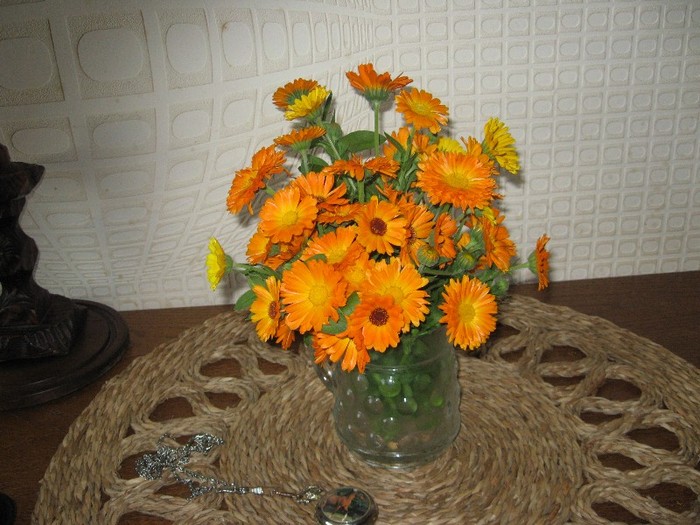 Picture 2246 - Flori din gradina mea
