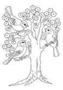 images (22)