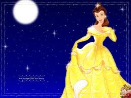 PRINCESS BELLE PUZZLE