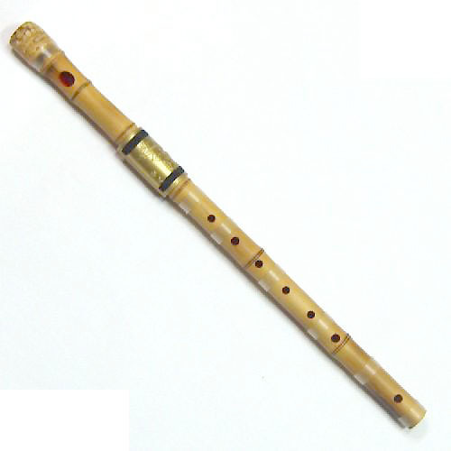 jungge10 - Instrumentele muzicale traditionale