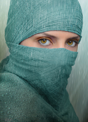 5694313381_1c5e7ed718