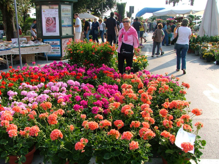 la tirgul de flori - TOSCANA VIAREGGIO LIGURIA CINQUE TERRE