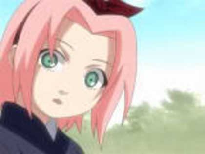 Copy of anime-youngsakura - Sakura Haruno