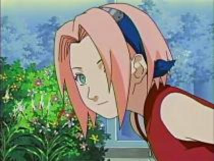 Copy of NLFKZNWCEMPZISBNYAP - Sakura Haruno