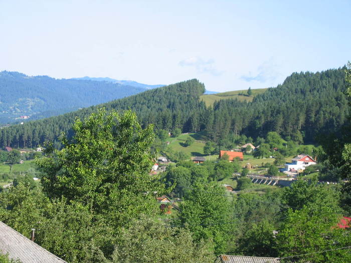 valea muntelui