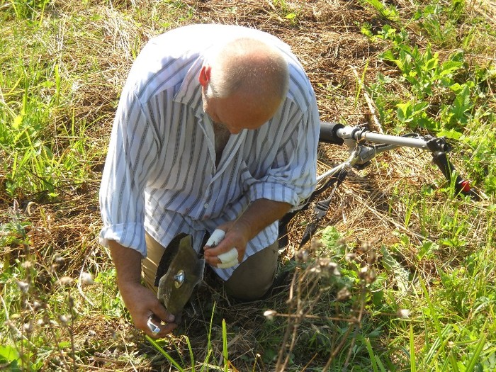 DSCN8166 - COASA LA COLIBITA 2011