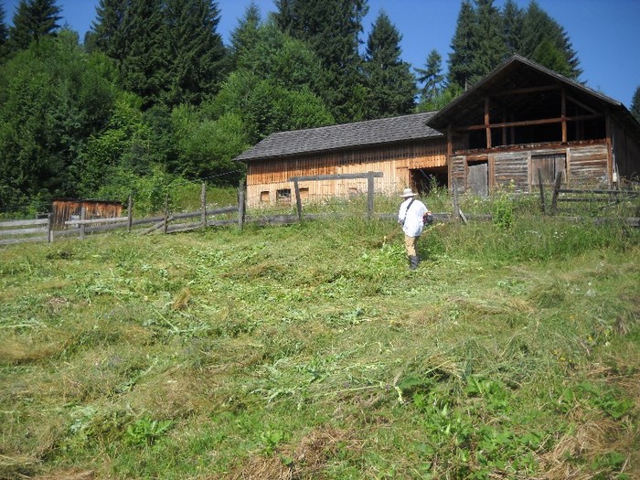 DSCN8177 - COASA LA COLIBITA 2011