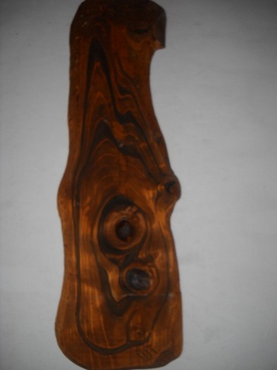 DSCN8201 - COASA LA COLIBITA 2011