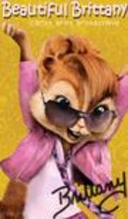 BRITTANY - Chipmunks and chipettes