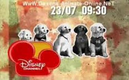 images (1) - Filmul Disney Echipa de catei