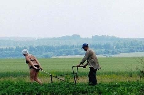 70200_treburi_gospodaresti_haioase - Foto Moldova