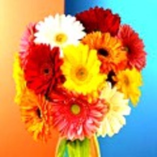 flowers_avatar - poze avatare