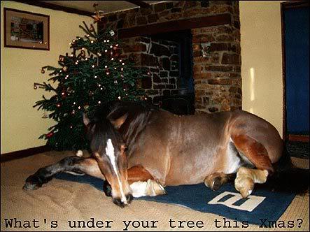 HorseUnderTree