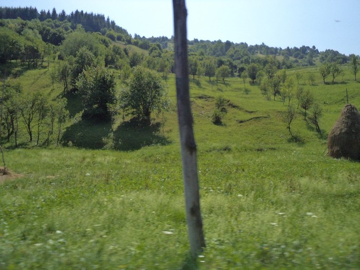 DSC00614 - in borsa in concediu