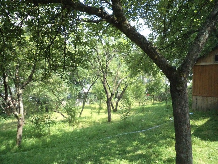 DSC00441 - in borsa in concediu