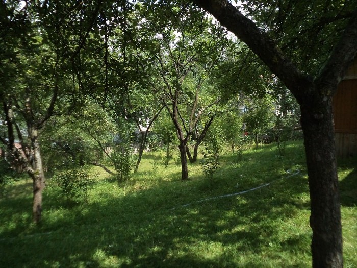 DSC00442 - in borsa in concediu