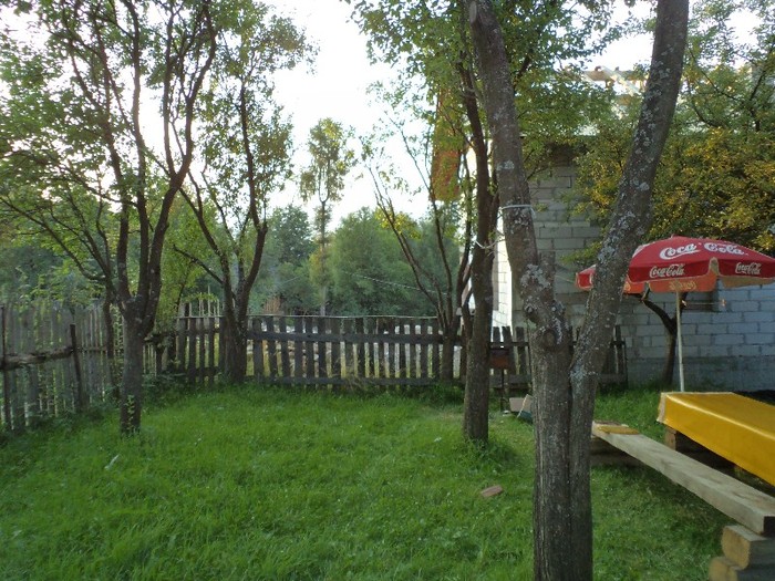 DSC00466 - in borsa in concediu