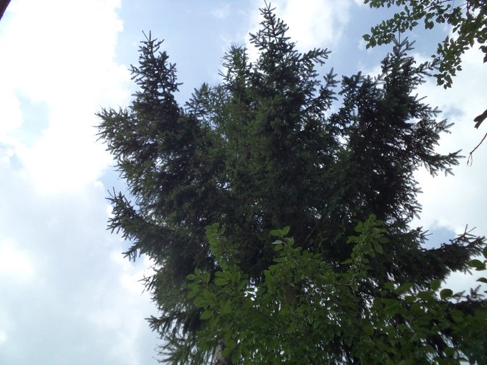 DSC00539 - in borsa in concediu