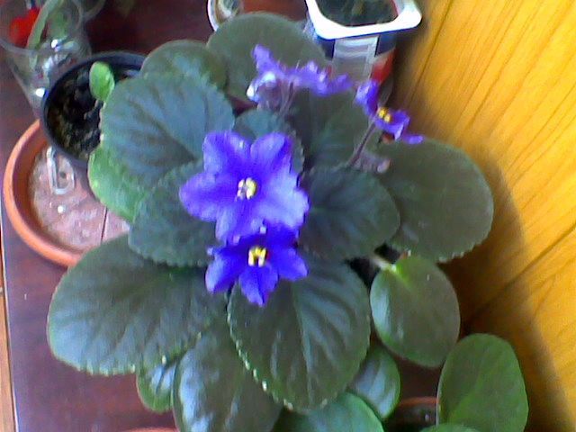 Imag019
