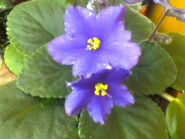 Imag020