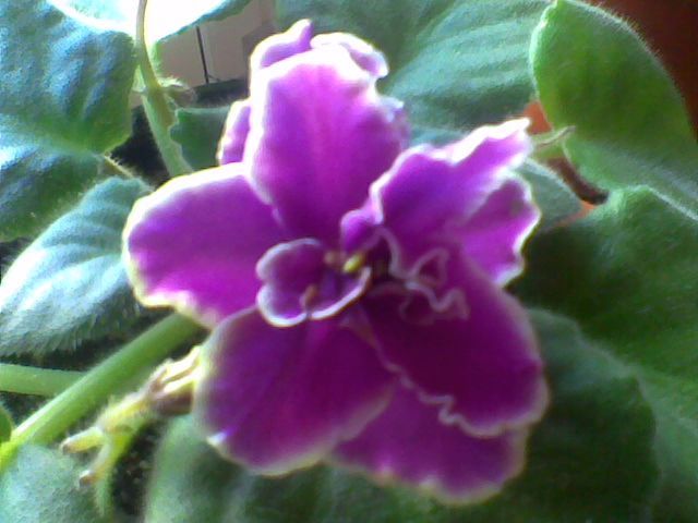 Imag024