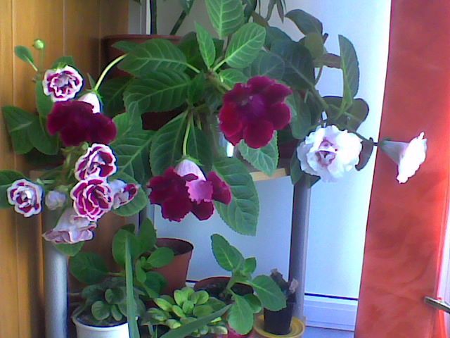 Imag028