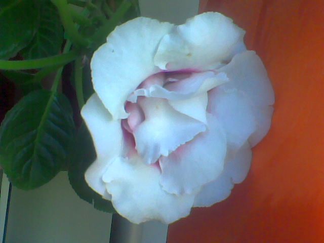 Imag030