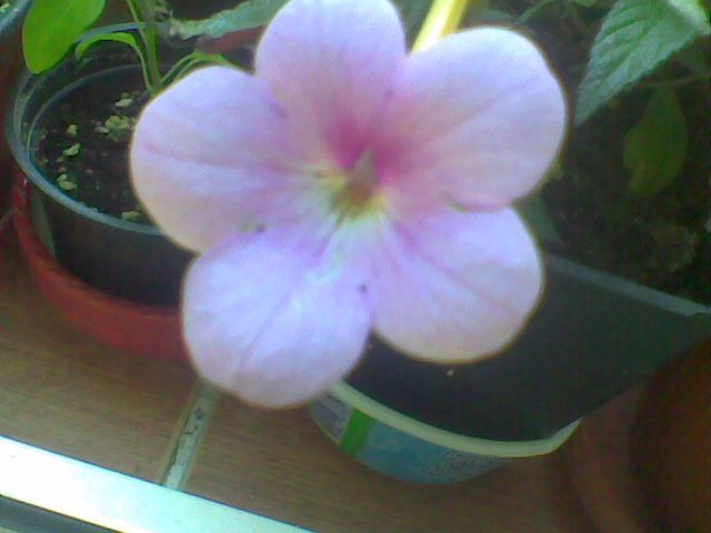 Imag036