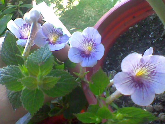 Imag038