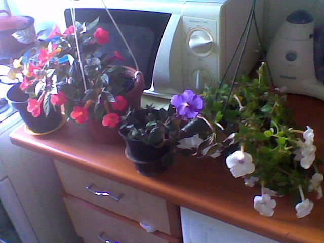 Imag041