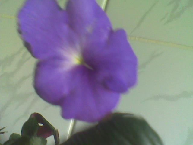 Imag048
